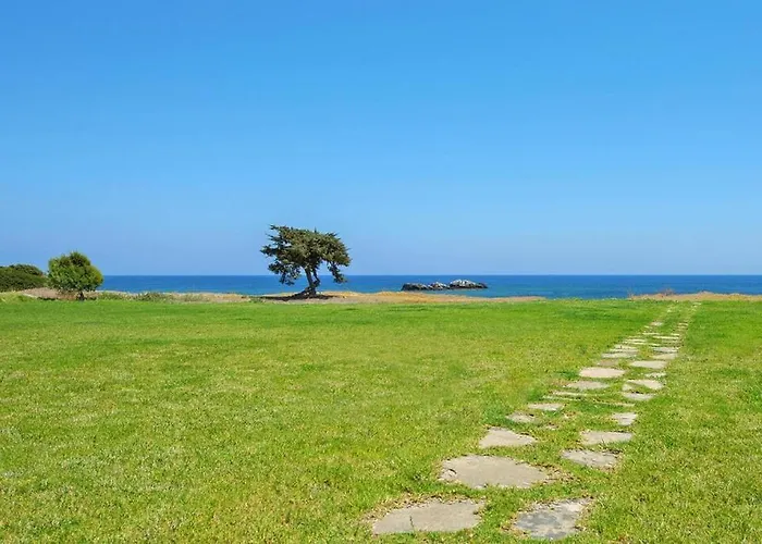 In With A Terrace Or Balcony