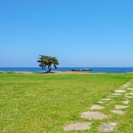 In With A Terrace Or Balcony